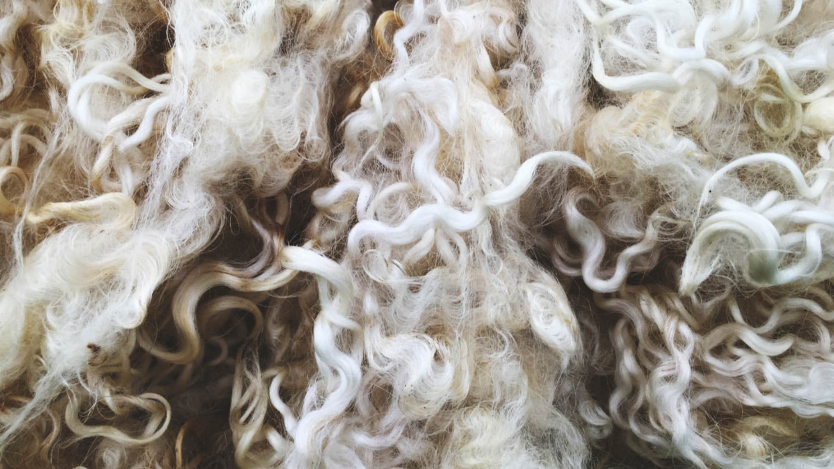 Het meten van de milieuvoetafdruk van wol
